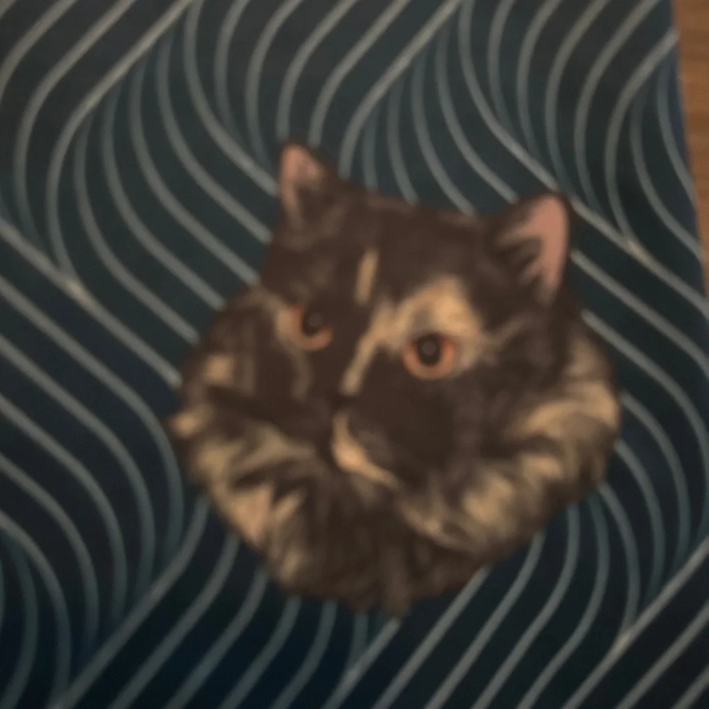 Christine D'Ercole X Miami Fitwear Teal Blue Cat Print Legging Peloton size XL - Picture 2 of 8
